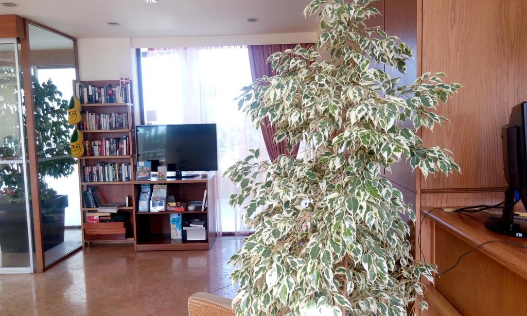 Eria Resort For People With Special Abilities Maleme Zewnętrze zdjęcie
