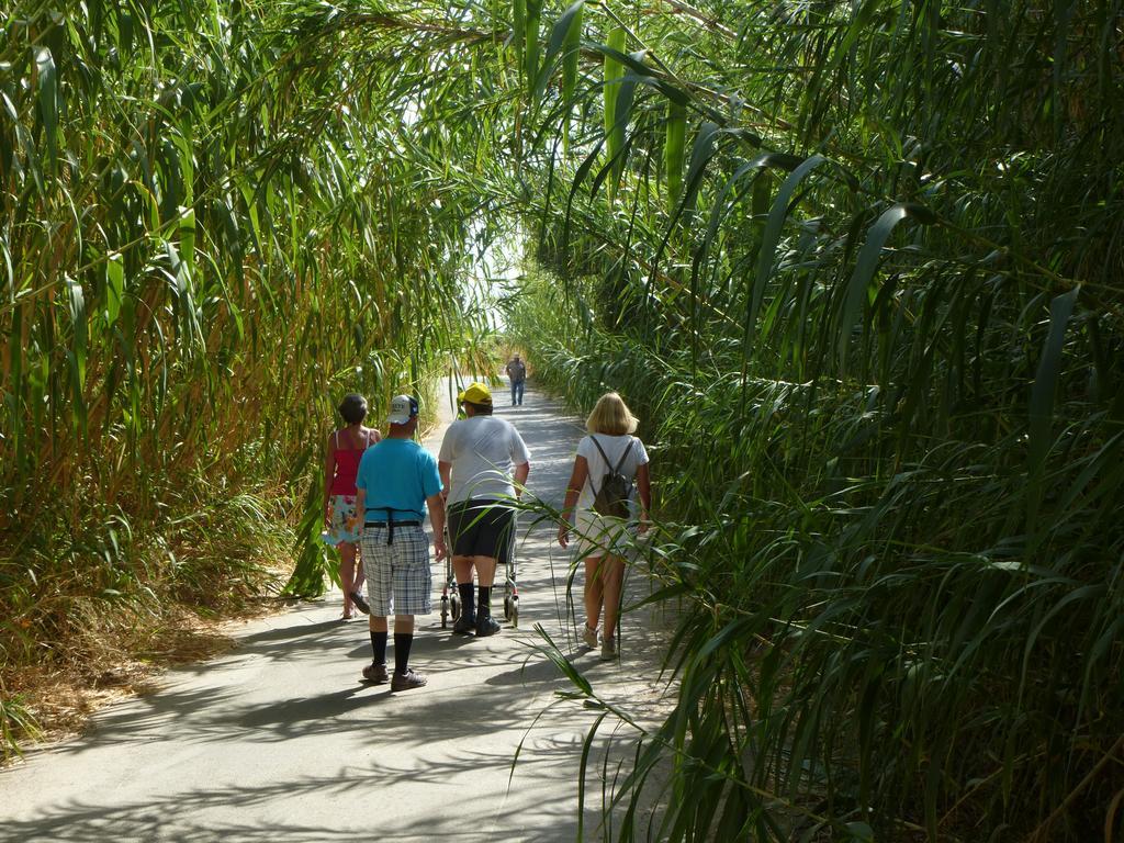 Eria Resort For People With Special Abilities Maleme Zewnętrze zdjęcie